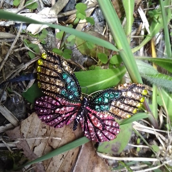 Butterfly Pin - Picture 2 of 5